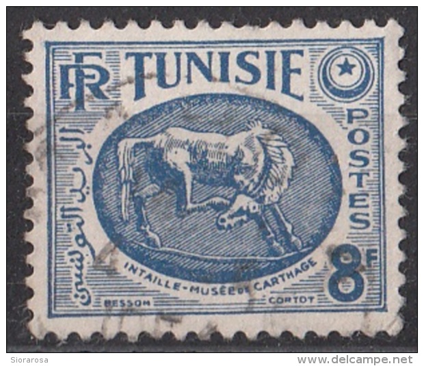 219 Tunisia 1950 Museo Di Cartagine Cavallo -  Horse, Carthage Museum Used - Tunisia (1956-...)