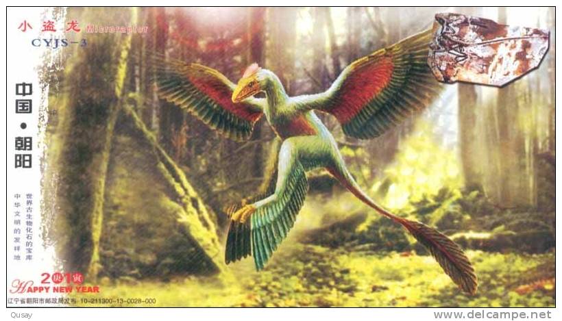 Fossils Bird  ,  Prepaid Card , Postal Stationery - Fossili