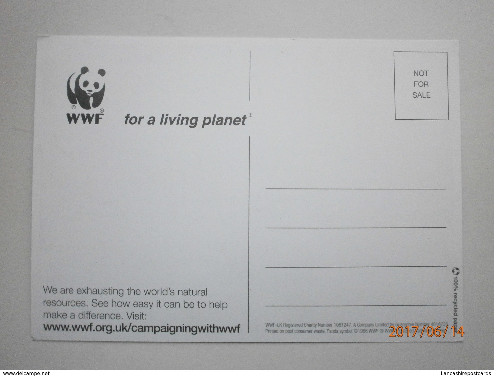 Postcard Tiger Tigers Multiview WWF For A Living Planet Campaign Advert Card My Ref B21343 - Tigers