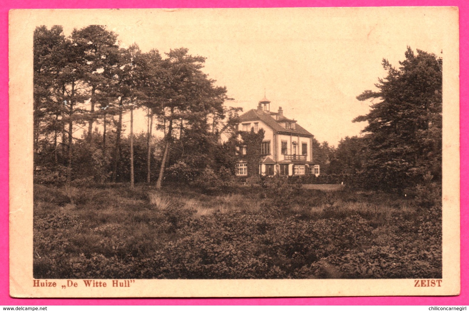 Huize - " De Witte Hull " - Zeist - Uitg. VAN DIJK & Co - E.B. - 1922 - Obl. A 425 - Zeist