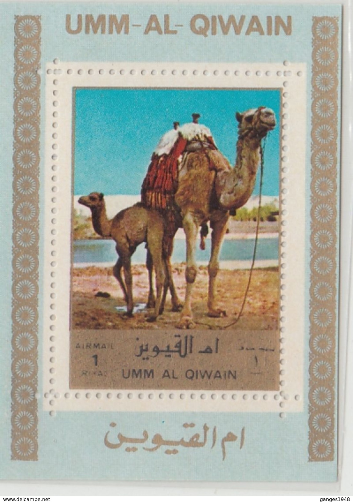 Umm Al Qiwain  Camels  Deluxe Sheet  #  92857 - Other & Unclassified