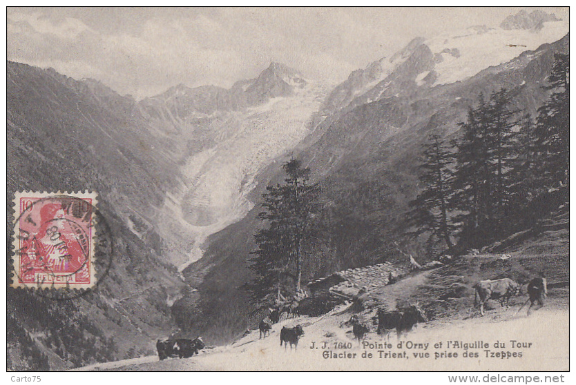 Suisse - Glacier De Trient - Pointe D'Orny - Vue Prise Des Tzeppes - Cachet 1908 Finhaut - Finhaut