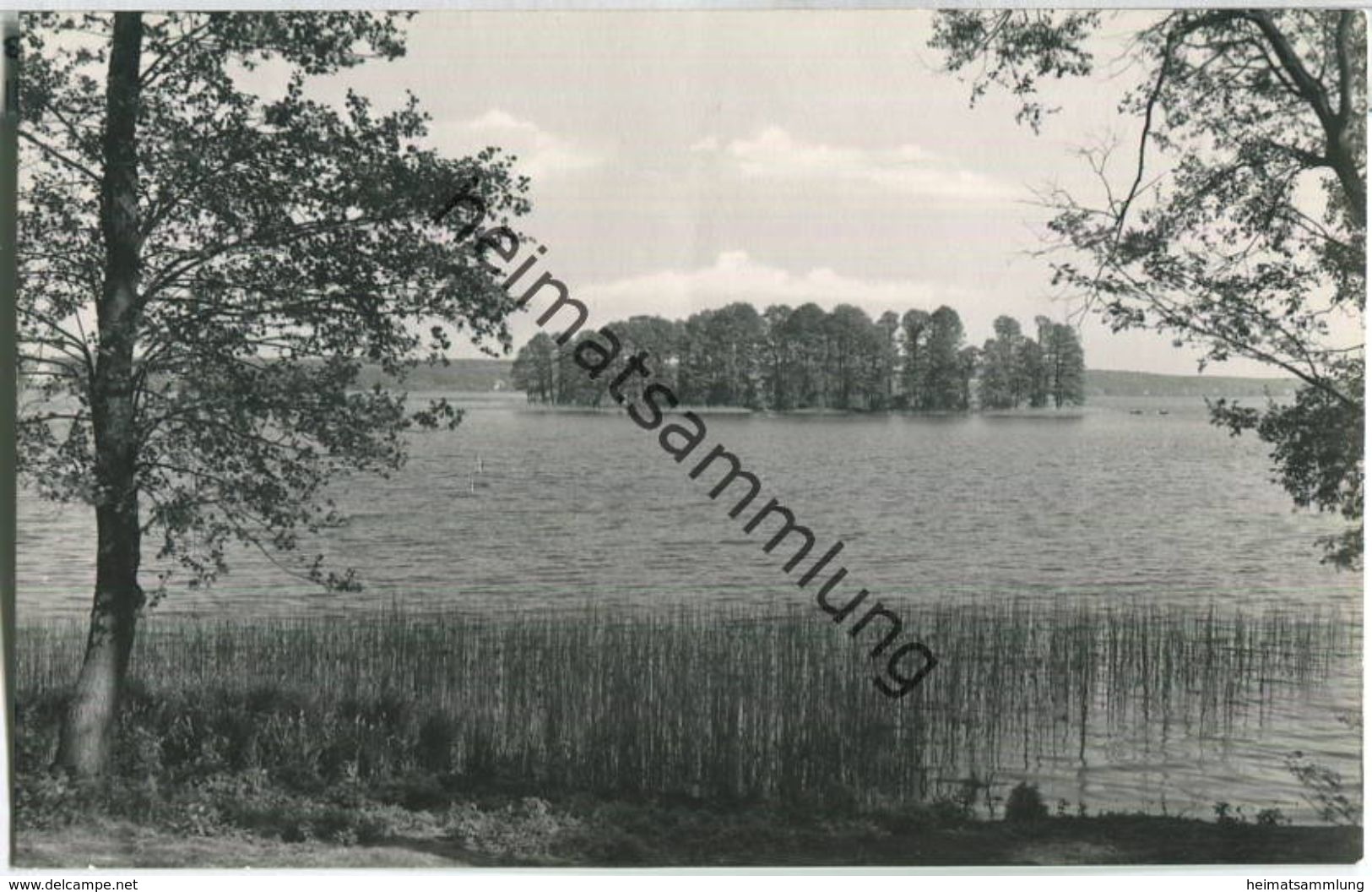 Bad Saarow - Am Großen Werl - Foto-Ansichtskarte - Bad Saarow