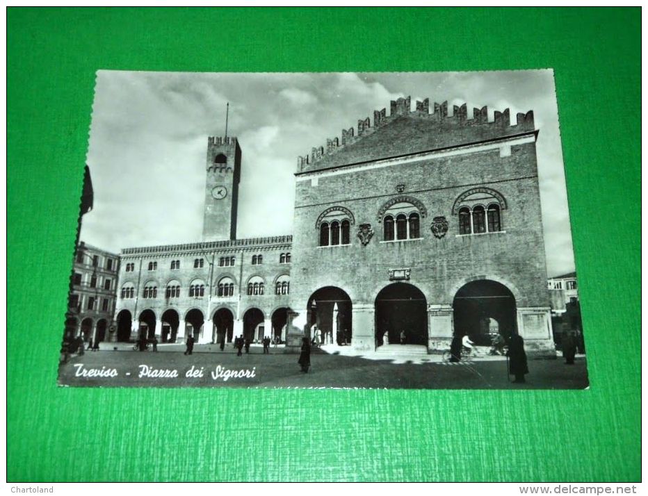 Cartolina Treviso -- Piazza Dei Signori 1955 Ca - Treviso