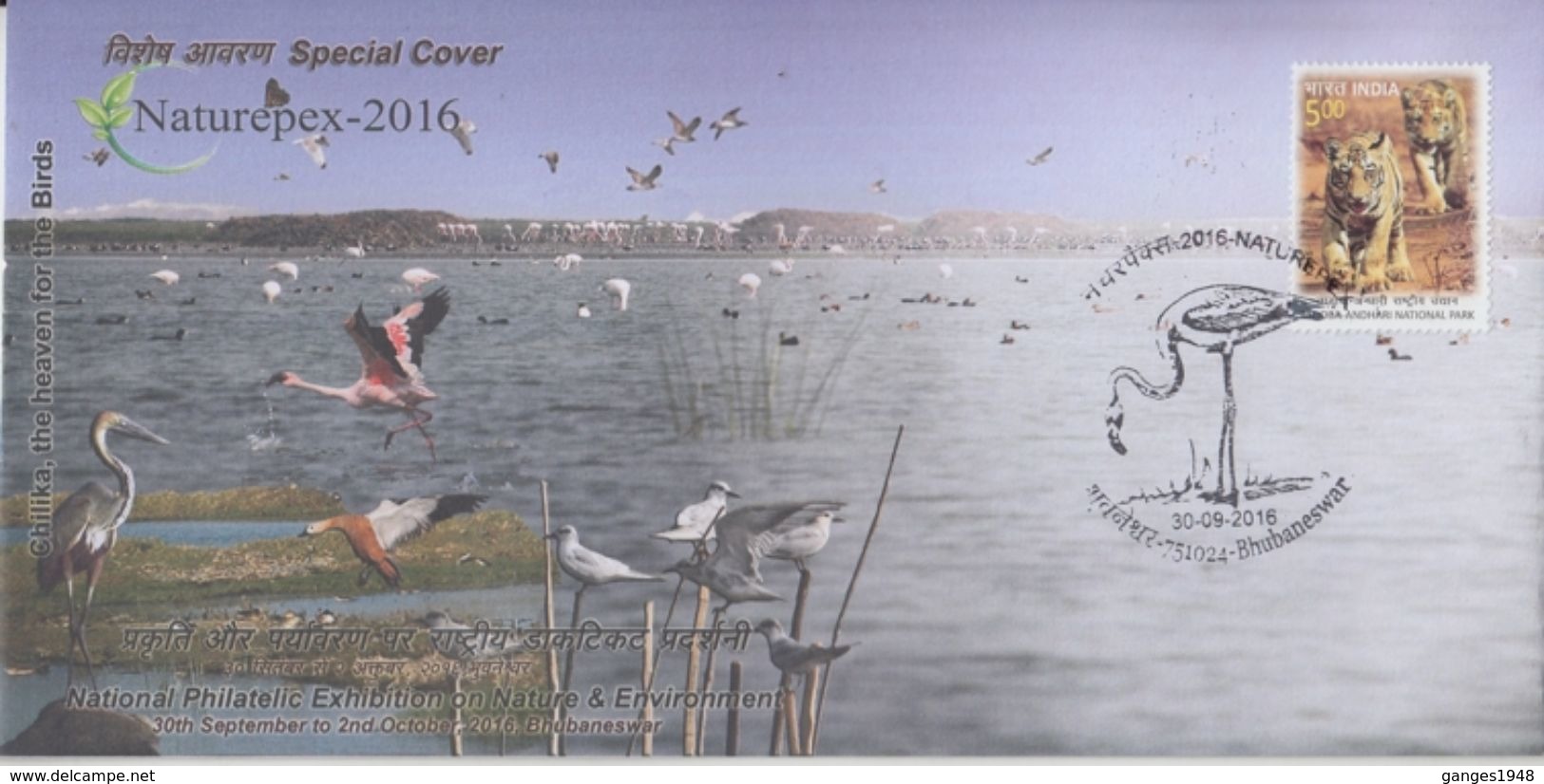 India  2016  Birds  Chilika Lake Wetlands  NATUREPEX  BHUBNESWAR  Special Cover  #  74519  Inde Indien - Albatros