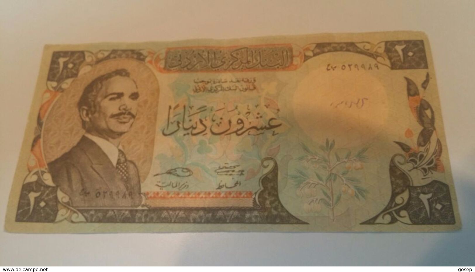 Jordan-20dinar-(1987)-good Lokking Foto 2 Side) - Jordanien