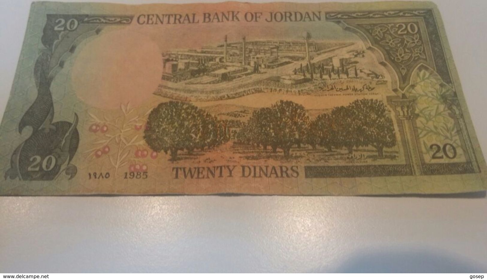 Jordan-20dinar-(1985)-good Lokking Foto 2 Side) - Jordanië