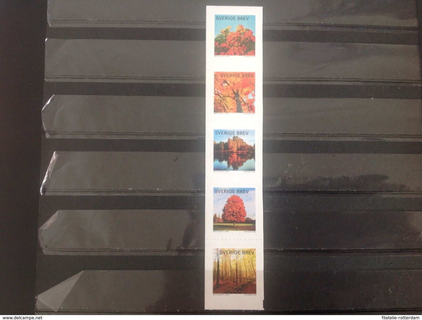 Zweden / Sweden - Postfris / MNH - Complete Set Herfstkleuren 2016 - Unused Stamps