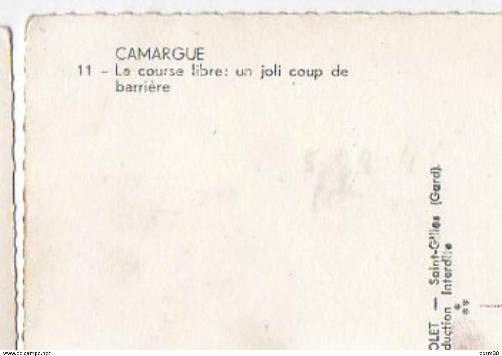 CAMARGUE - Course Libre Joli Coup De Barrière - Cp N° 11 éditions Violet St Gilles - 44 - Autres & Non Classés