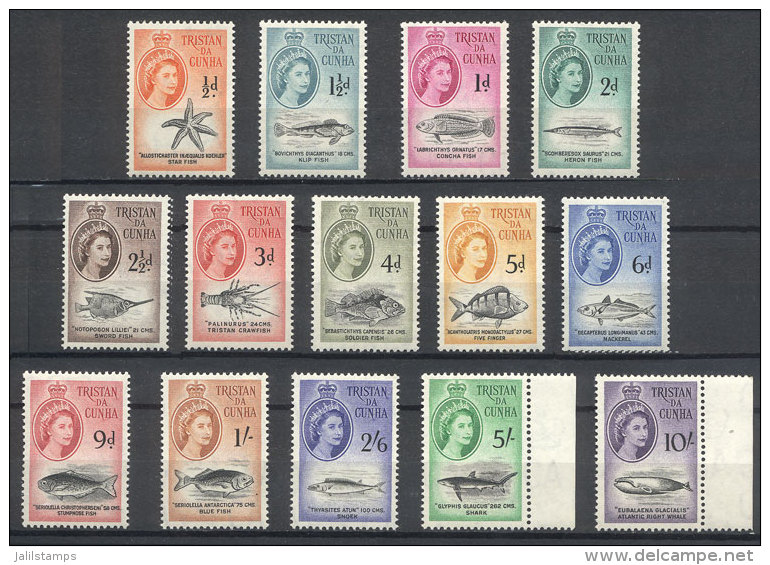 Sc.28/41, 1960 Fish, Complete Set Of 14 Unmounted Values, Excellent Quality. - Tristan Da Cunha