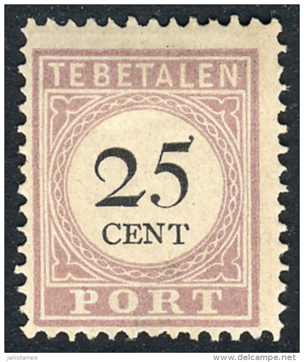 Yvert 13B (type II), 25c. Of 1891/5, VF Quality, Top Value Of The Set, Catalog Value Euros 110. - Surinam