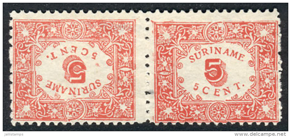 Yvert 58a, 1909 5c. Red Perforated, Pair Forming Tete-beche, Very Fine Quality, Rare, Catalog Value Euros 140. - Suriname