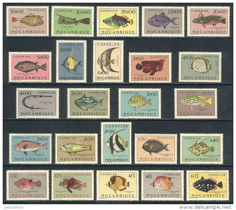 Sc.332/355, 1951 Fish, Complete Set Of 24 Values, The High And Expensive Values Of The Set (from 4.50E. To 50E.)... - Mosambik