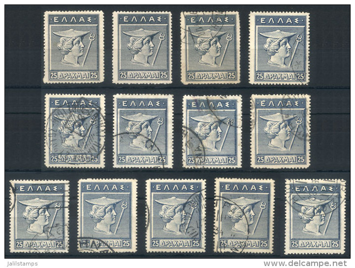 Sc.213 Or 231, 2 Examples Mint With Hinge Marks And 11 Used Examples, VF Quality, Catalog Value US$80+ - Other & Unclassified