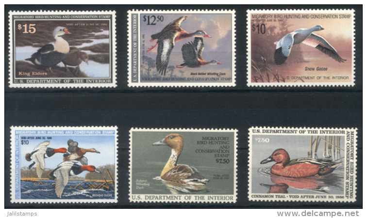 HUNTING PERMIT STAMPS: Sc.RW52/55 + 57/58, Ducks, Mint Never Hinged, VF Quality, Catalog Value US$117. - Other & Unclassified