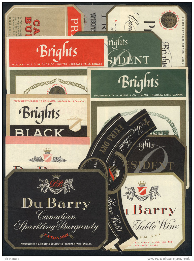 Good Number Of Wine Labels, Circa 1960s, Excellent Quality! - Other & Unclassified