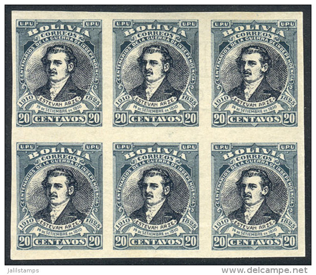 Yvert 89, 1910 Arze 20c., IMPERFORATE Block Of 6, 2 Stamps With Watermark, VF Quality! - Bolivien