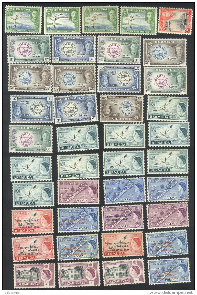 Lot Of Mint Stamps And Complete Sets (many Are Never Hinged), Very Fine General Quality And VERY THEMATIC, Scott... - Bermuda