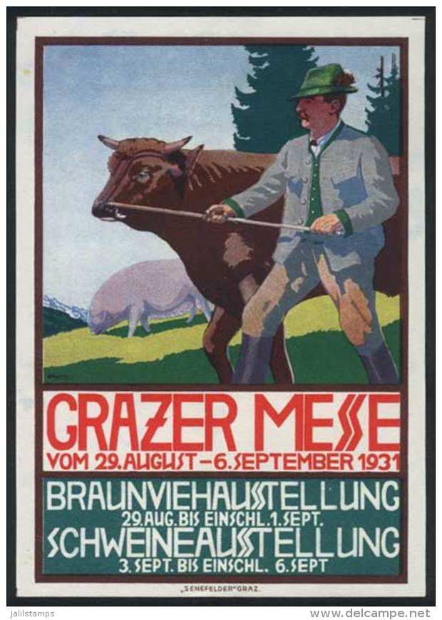 Advertising Pamphlet Of The Agricultural Exposition Of Graz, 1931. Size 98 X 145 Mm, Excellent Quality, Rare! - Other & Unclassified