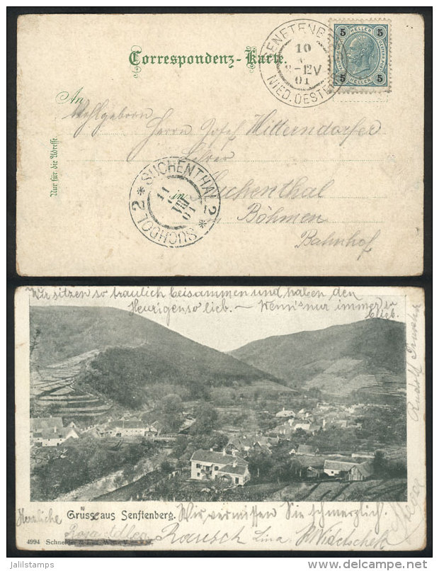 Postcard With General View Of Senftenberg, Franked With 5h. And Sent From SENFTENBERG To Suchenthal On 10/JUN/1901,... - Otros & Sin Clasificación