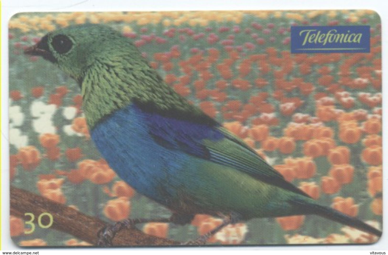 Oiseau Bird Télécarte Phonecard Telefonkarte (S.184) - Brasilien