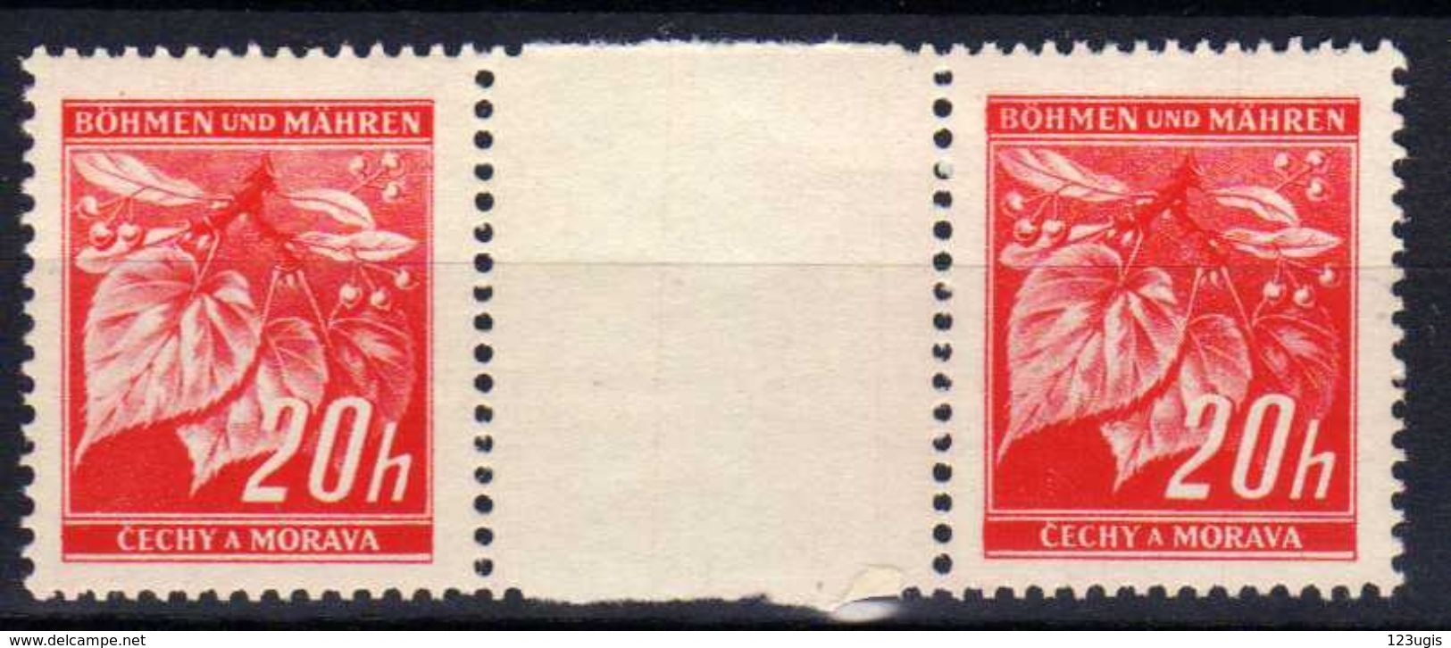 Böhmen Und Mähren 1939 Mi 22 ** Zwischenstegpaare [231113VII] @ - Unused Stamps