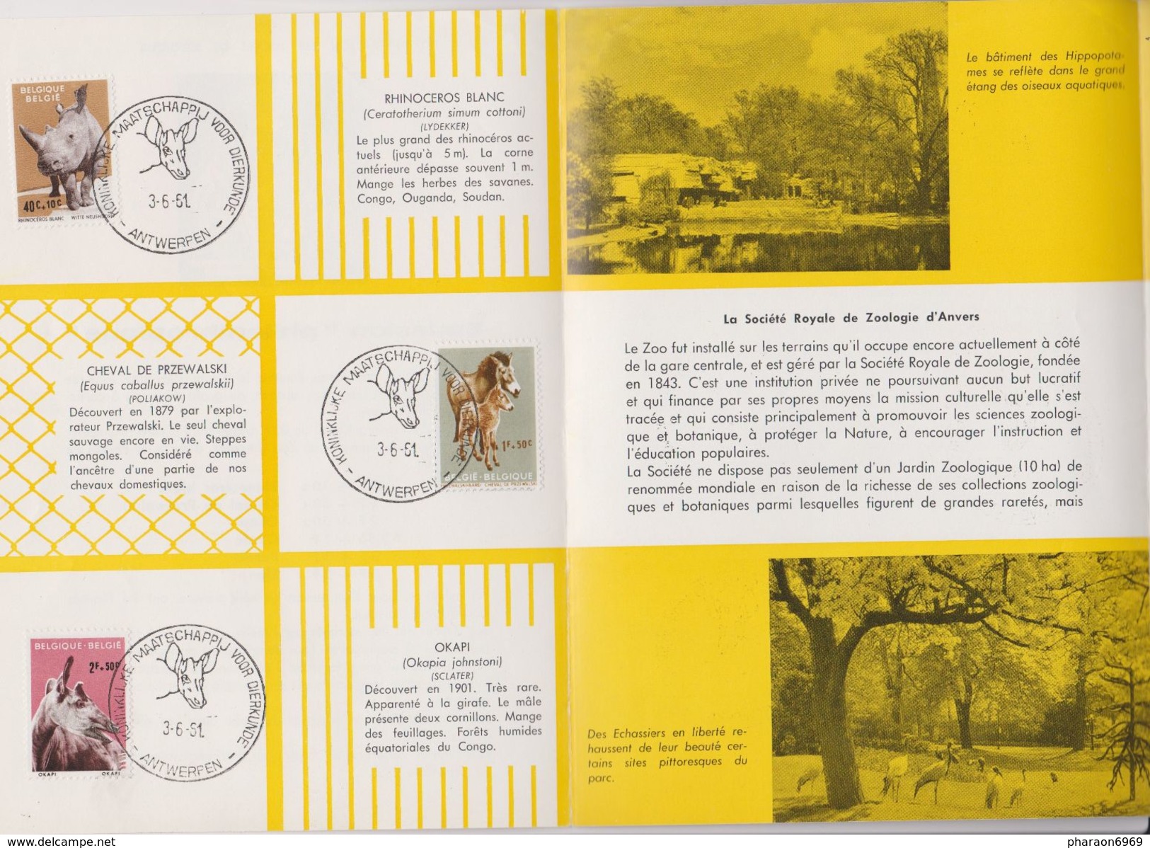 2 Scans Feuillet Poste FDC 1182 à 1187 Animaux Zoo D'Anvers Rhinocéros Okapi Girafe Panda élan Cheval De Przewalski - 1961-1970