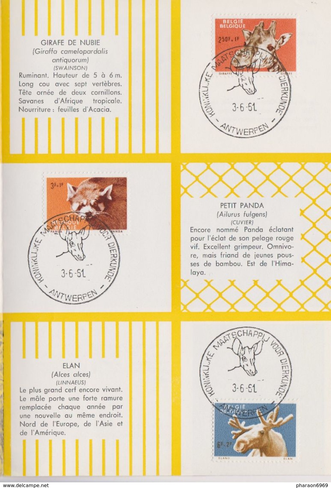 2 Scans Feuillet Poste FDC 1182 à 1187 Animaux Zoo D'Anvers Rhinocéros Okapi Girafe Panda élan Cheval De Przewalski - 1961-1970