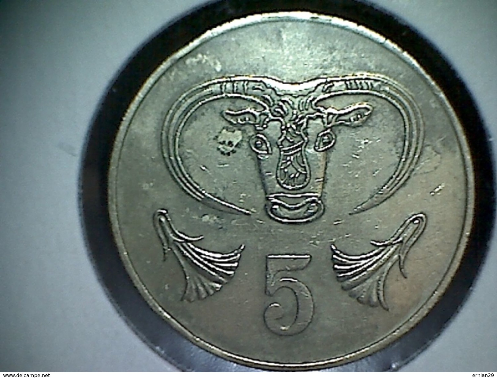 Chypre 5 Cents 1983 - Chypre