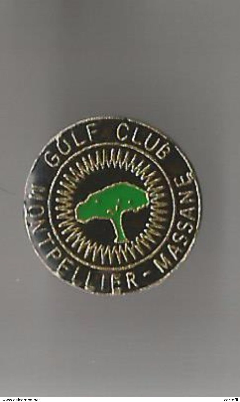 Pin´s Golf Club Montpellier Massane - Golf