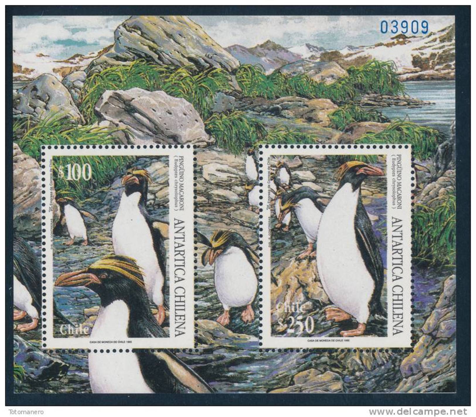 CHILE 1995 ANTARTICA CHILENA Macaroni Penguins Minisheet** - Antarctic Wildlife