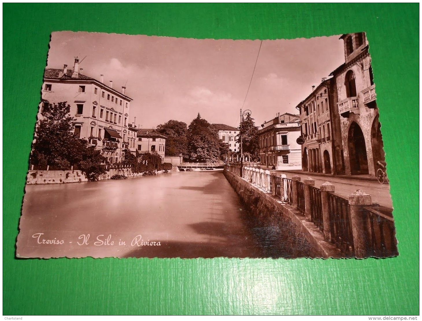 Cartolina Treviso - Il Sile In Riviera 1951 - Treviso