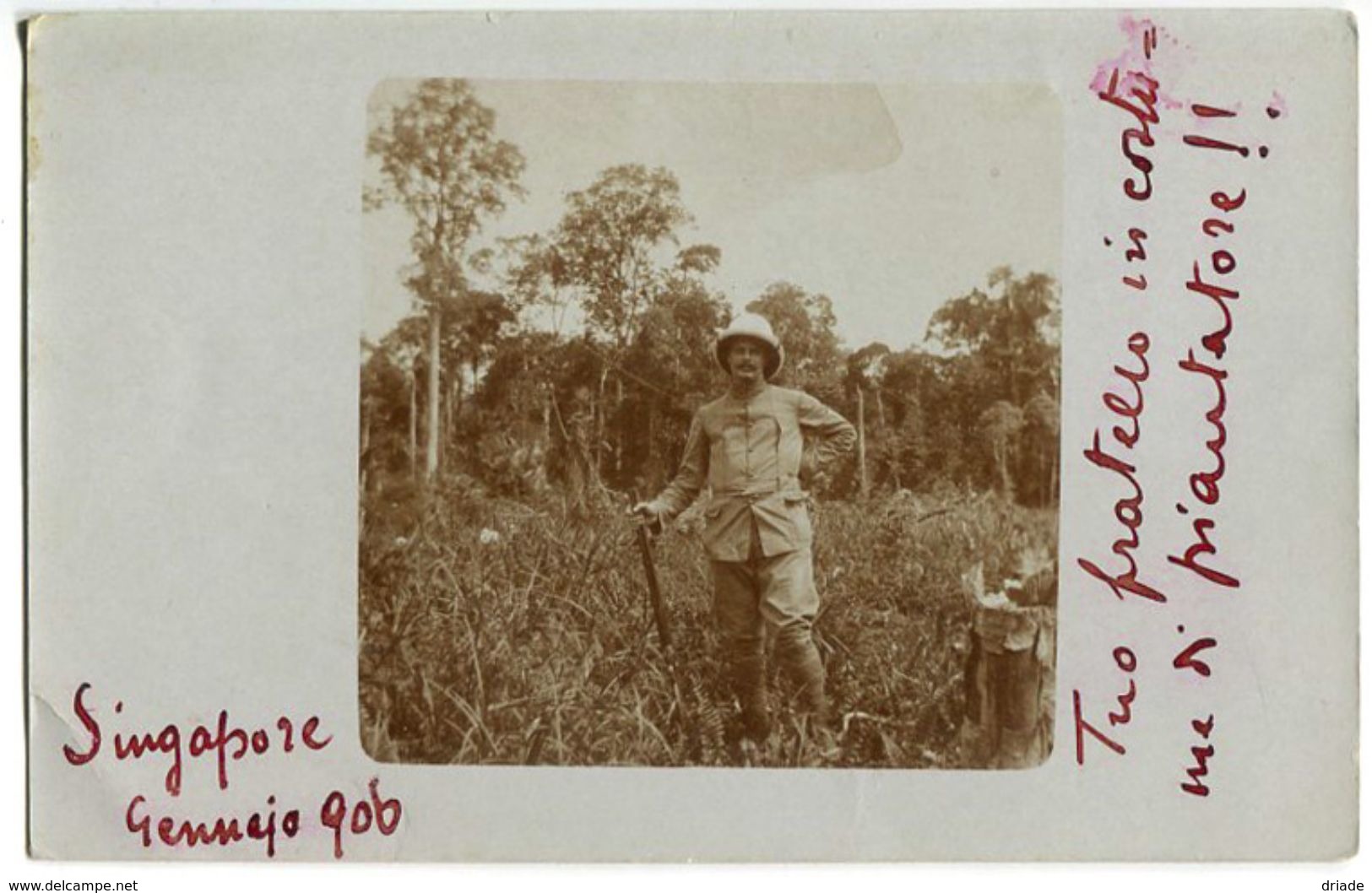 FOTO CARTOLINA PIANTAGIONE DI GOMMA SINGAPORE GENNAIO ANNO 1906 - Singapore