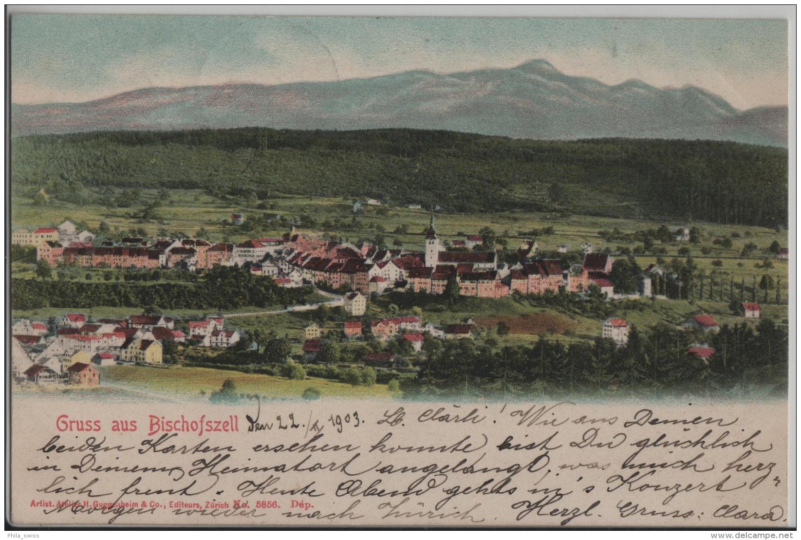 Gruss Aus Bischofszell - Gesamtansicht - Photo: Guggenheim No. 5856 - Bischofszell