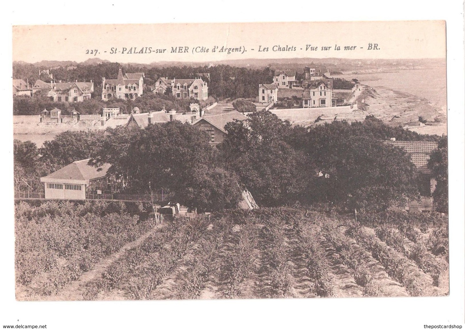 CPA Dépt17 St-PALAIS-sur-MER Cote D'argent) Les Chalets-Vue Sur La Mer Achetez Immediatement - Saint-Palais-sur-Mer