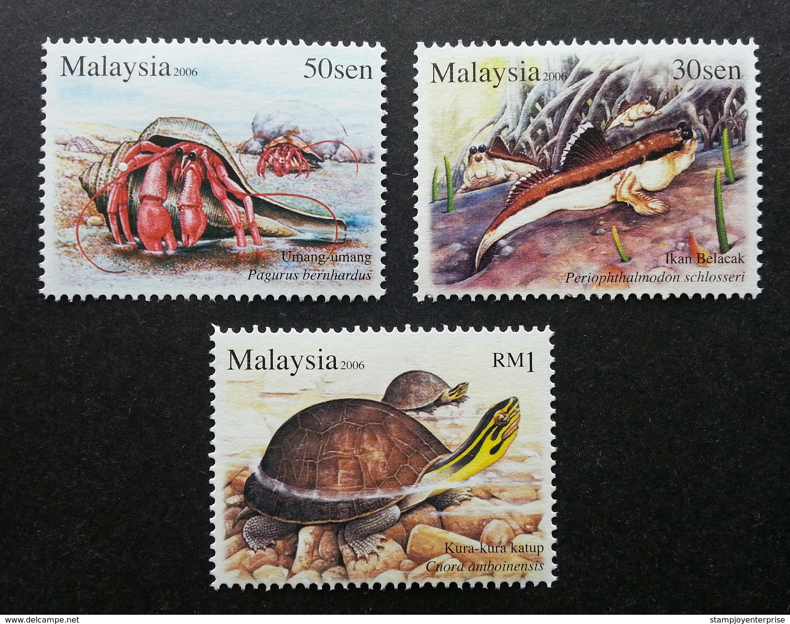 Malaysia Semi Aquatic Animal 2006 Turtle Crab Fauna Wildlife (stamp) MNH - Malaysia (1964-...)