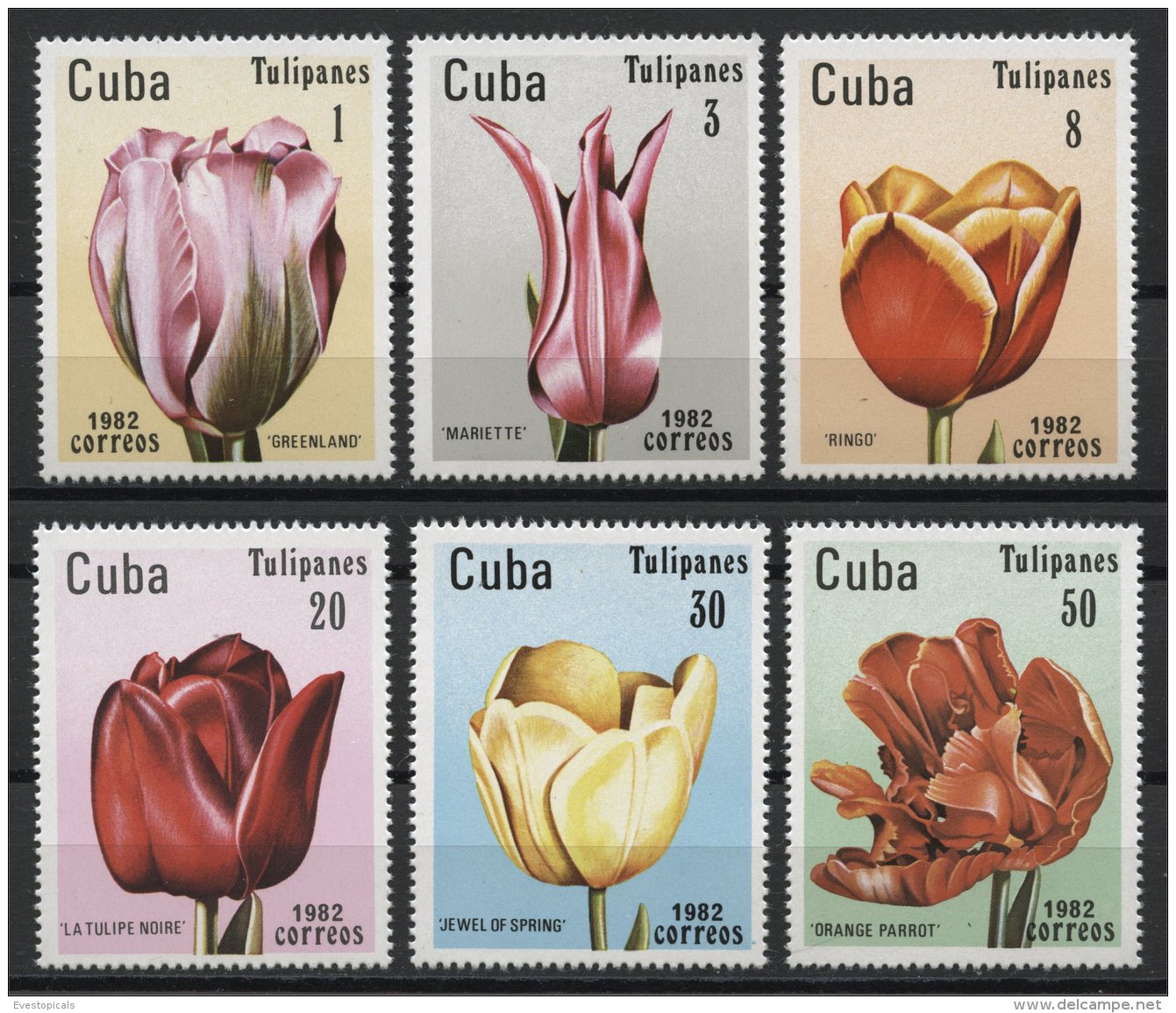 CUBA, FLOWERS / TULIPS MNH SET  1982 - Altri & Non Classificati