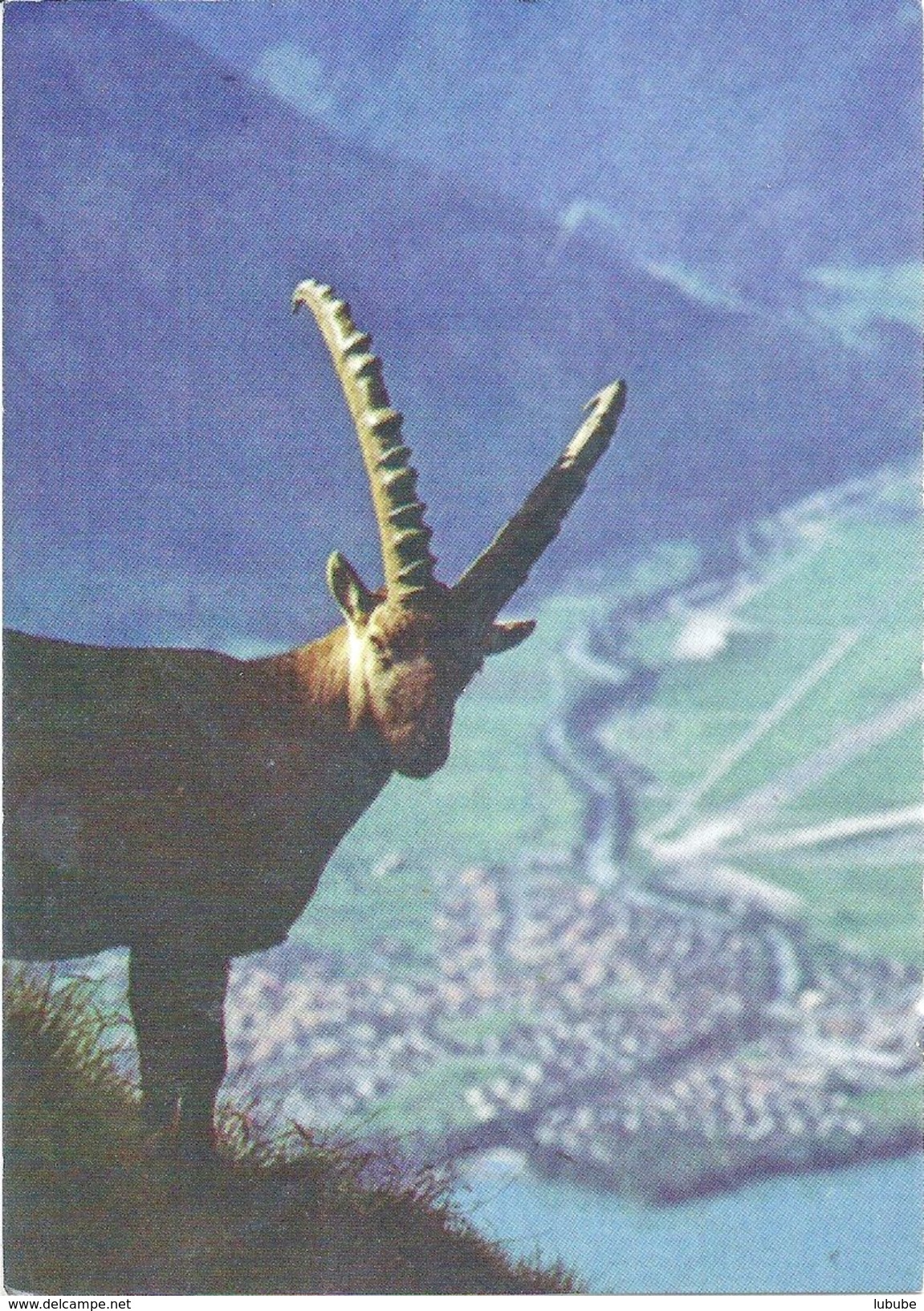 Steinbock - Blick Auf Bödeli Und Bönigen            Ca. 2000 - Bönigen