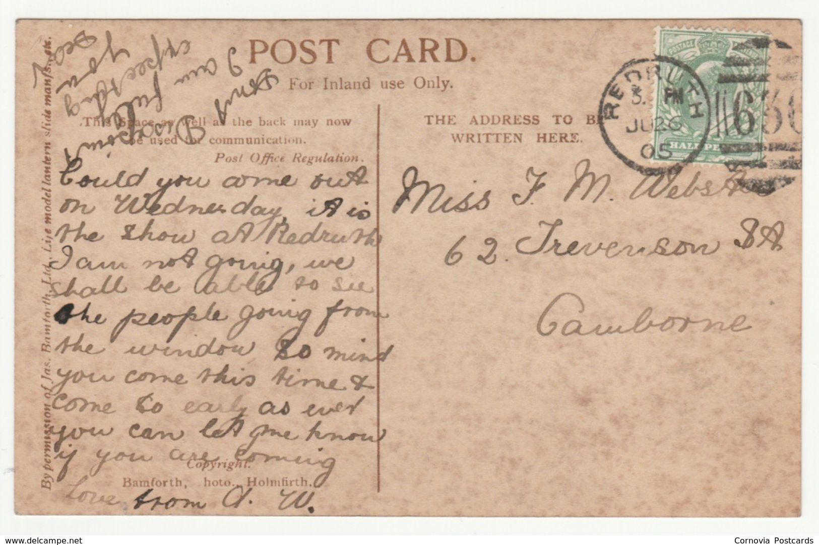 Honeysuckle And Bee, 1905 - Bamforth's RP Postcard - Humour