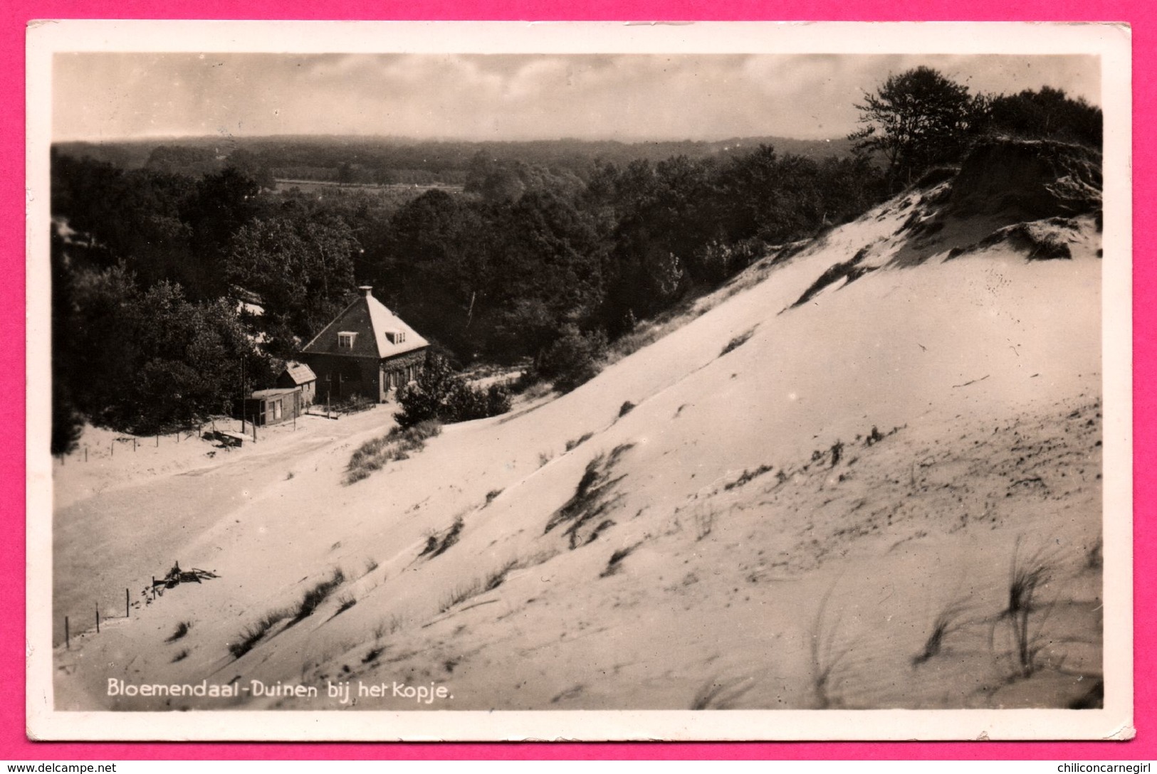 Bloemendaal - Duinen Bij Het Kopje - J. SLEDING - J.S.A. - 1945 - Bloemendaal