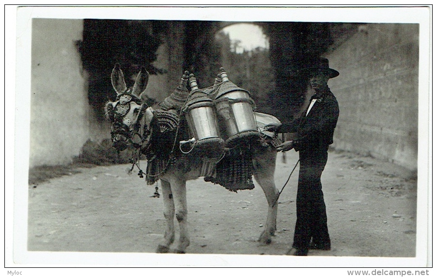 Carte Photo. Marchand D'Eau ? &amp; Ane. A Situer. - Profesiones