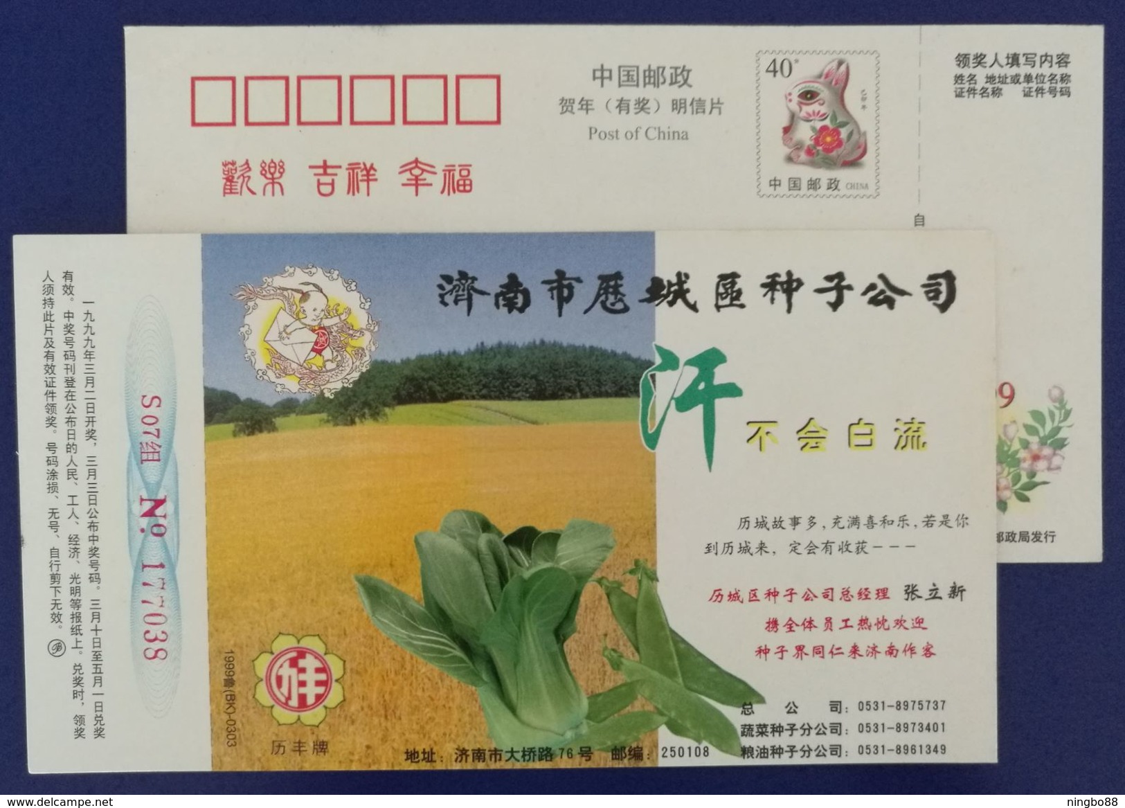 Chinese Cabbage,string Bean,rice Field,China 1999 Jinan Licheng District Seed Company Advertising Pre-stamped Card - Vegetables