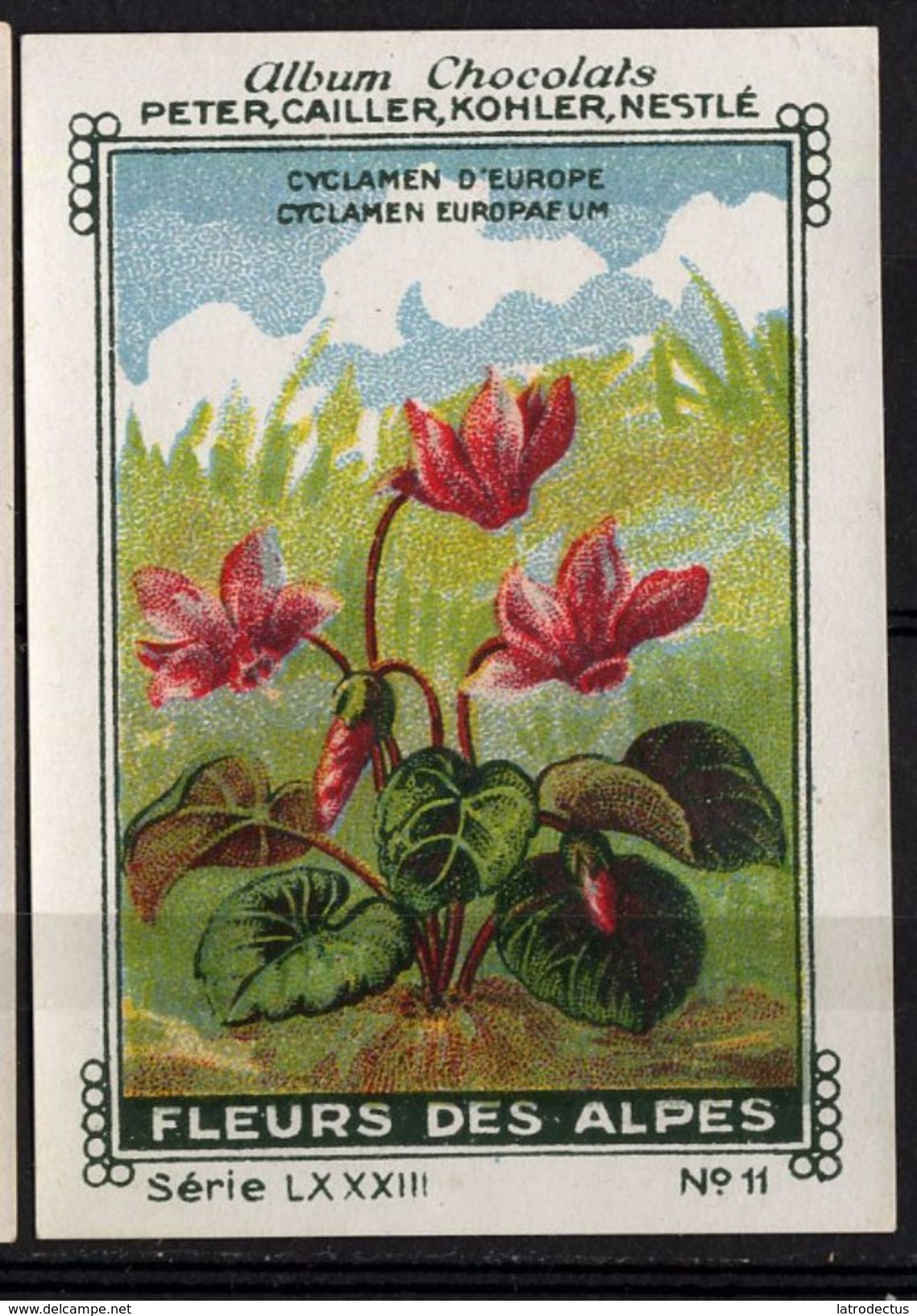 Nestlé - LXXXIII - Fleur Des Alpes, Flora Of The Alps - 11 - Cyclamen - Nestlé