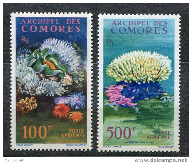 3007  - COMORES    PA 5/6 **  Faune Et Flore Marines          SUPERBE - Comores (1975-...)