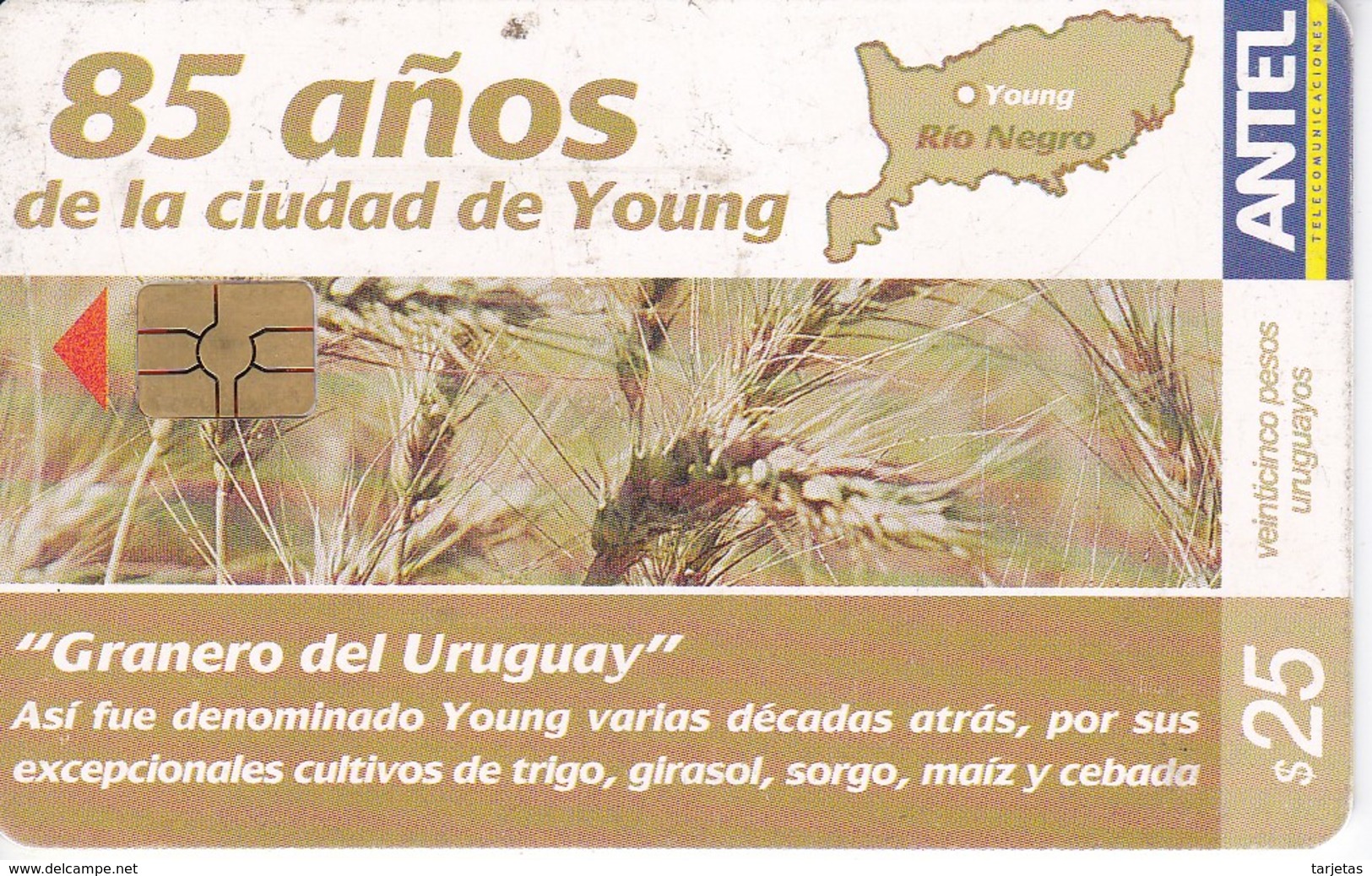 Nº 423 TARJETA DE URUGUAY DE ANTEL DE 85 AÑOS DE LA CIUDAD DE YOUNG (TREN-TRAIN-ZUG) - Uruguay