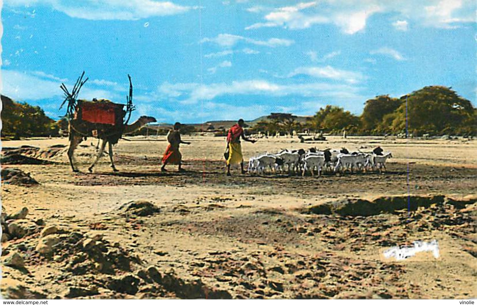 PIE-17-P.VA 3771  : VISAGE DU PAYS SOMAL. ANCIENNE TERRE DE PUNT CARAVANE - Somalie