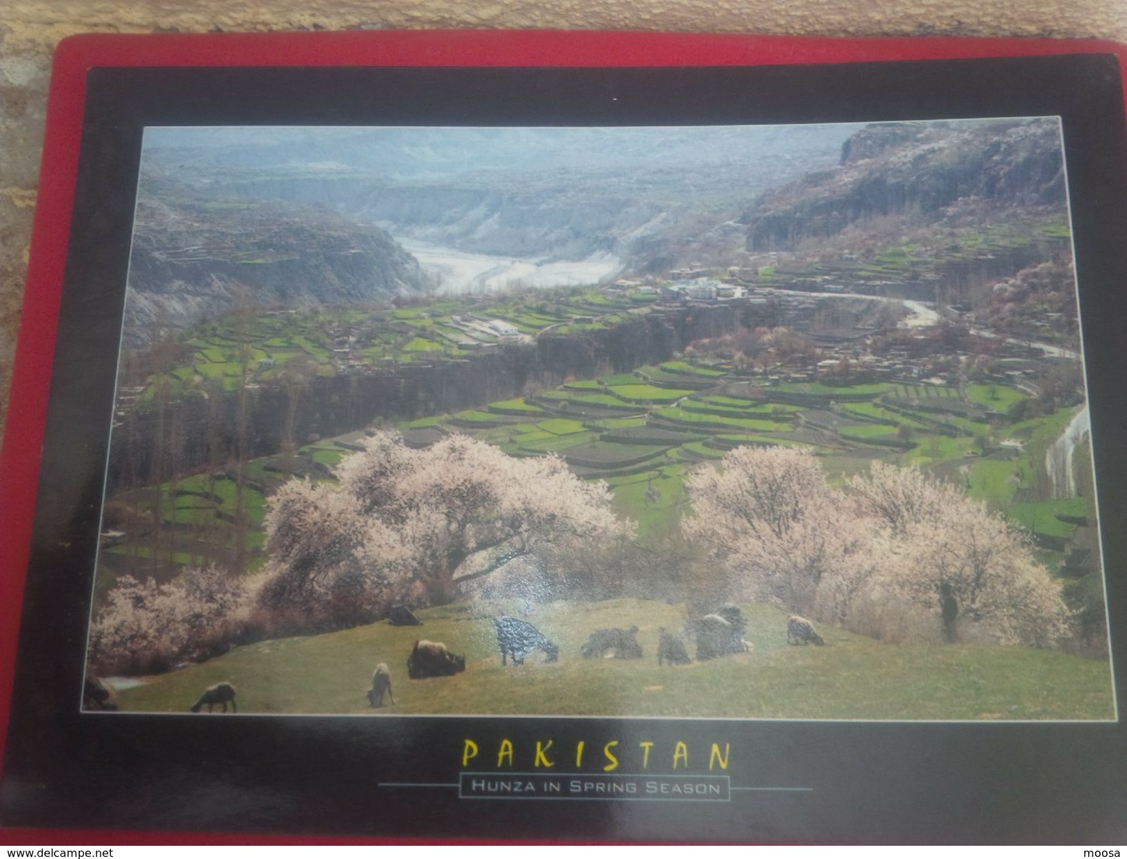 PAKISTAN UNUSED POSTCARD - Pakistan