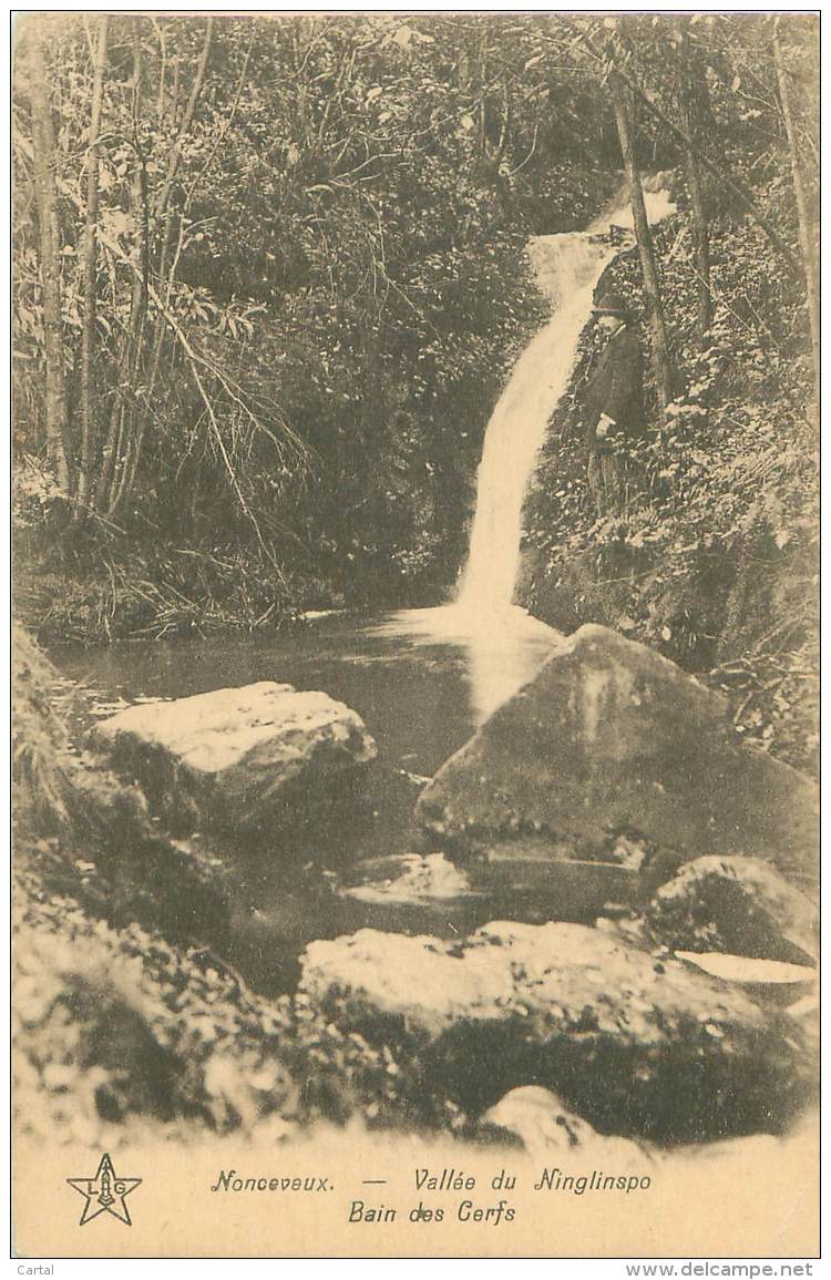 NONCEVEUX - Vallée Du Ninglinspo - Bain Des Cerfs. - Aywaille