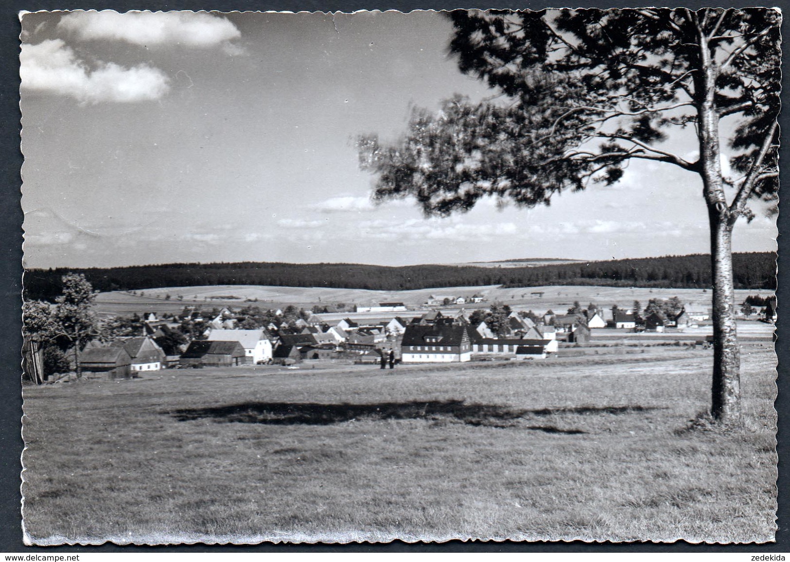 A4942 - Alte Foto Ansichtskarte - Satzung Bei Marienberg - RILI Ritschel - Gel - Marienberg