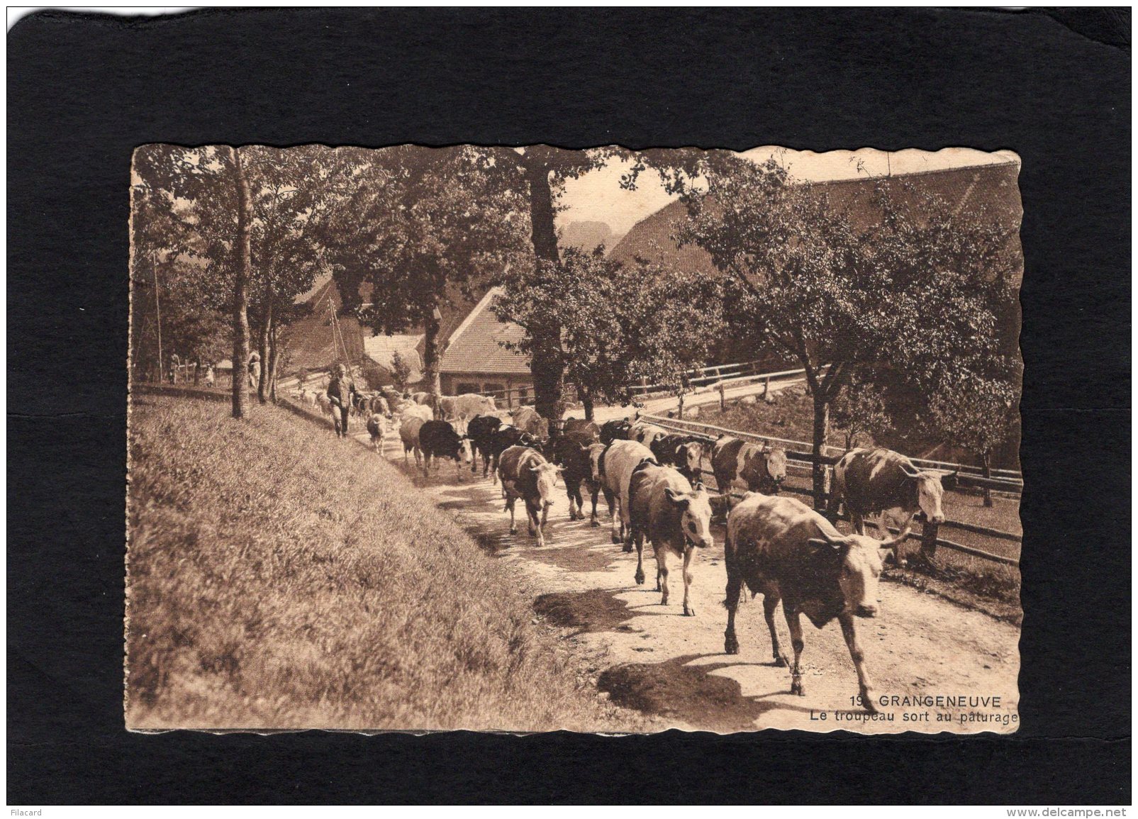 71058   Svizzera,   Grangeneuve,  Le  Troupeau Sort Au  Paturage,  NV(scritta) - Autres & Non Classés